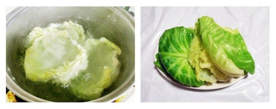 cabbage preparation