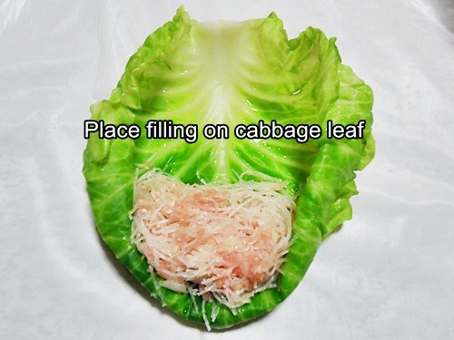 wrapping cabbage roll